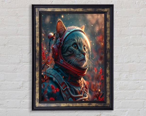 The Space Cat Astronaught