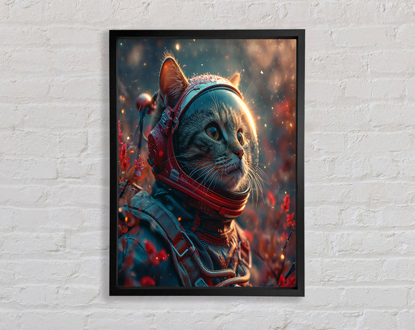 The Space Cat Astronaught