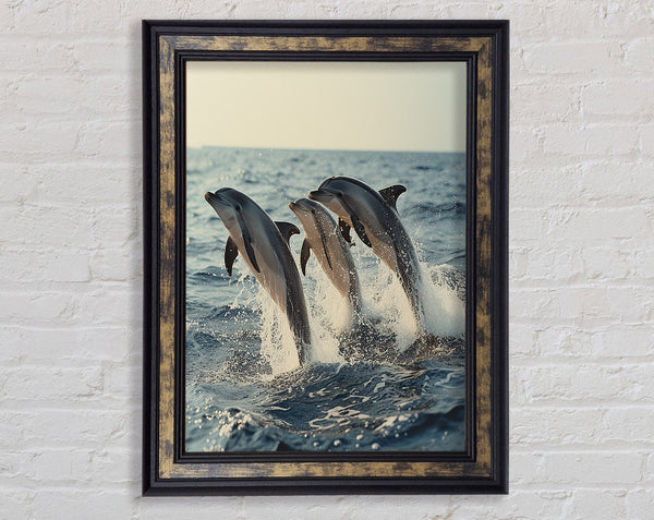 Three Dolphins