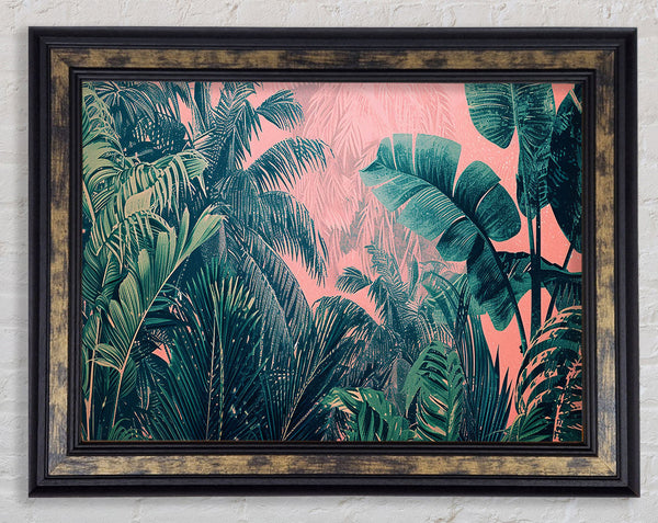 Tropical Trees In The Jungle