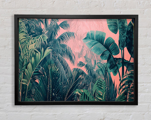 Tropical Trees In The Jungle