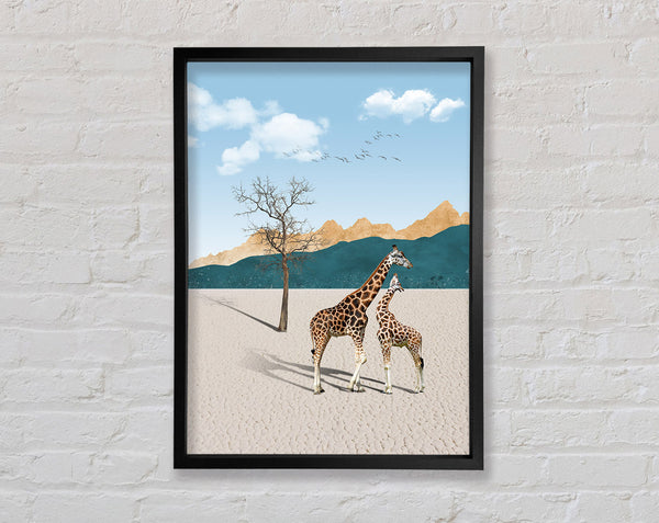 Two Giraffes In Desert