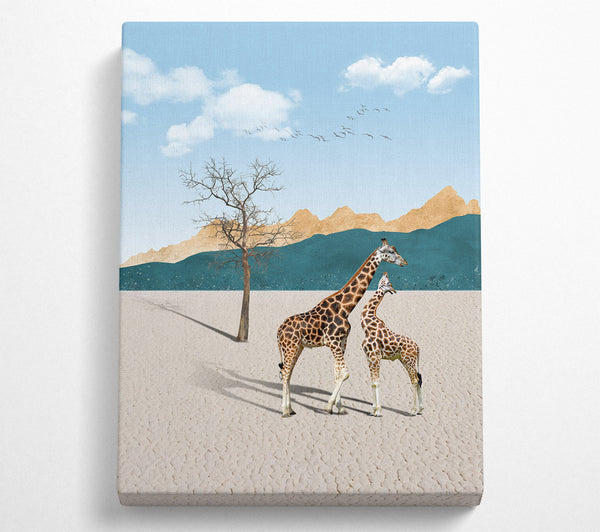 Two Giraffes In Desert