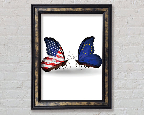 Usa And Eu Butterflies