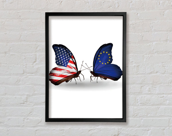 Usa And Eu Butterflies