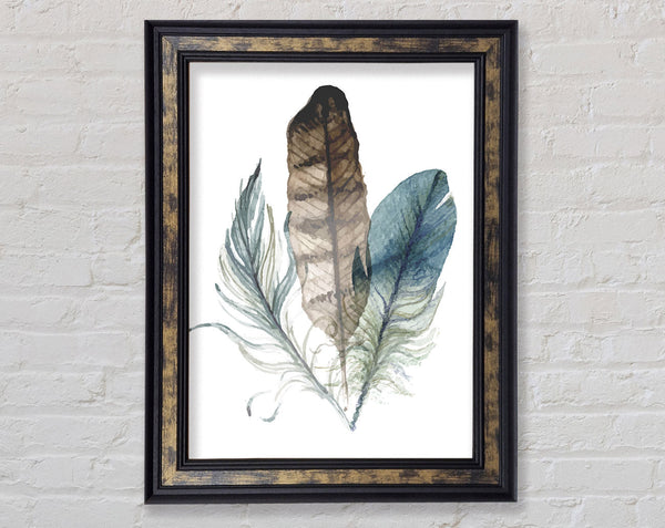 Watercolour Feathers