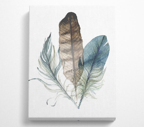 Watercolour Feathers