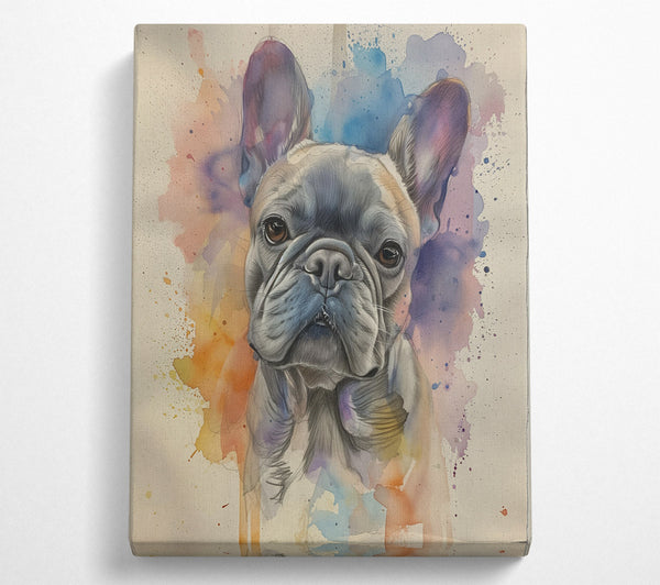 Watercolour Frenchie Cute