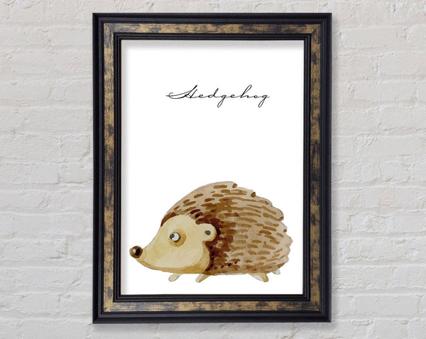 Watercolour Hedgehog