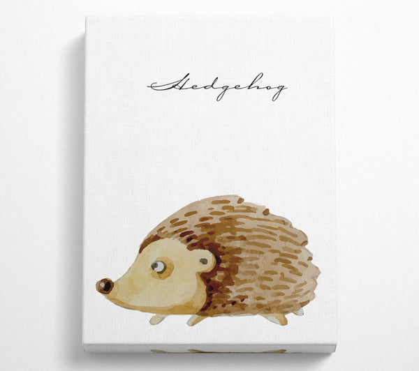 Watercolour Hedgehog