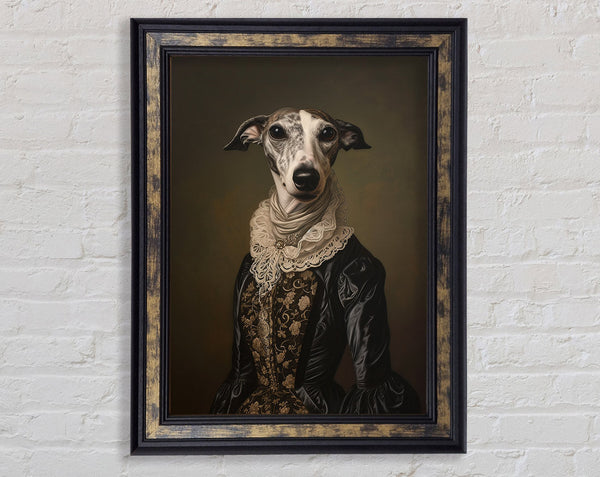 Whippet Regal