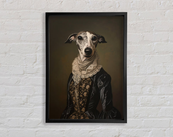 Whippet Regal