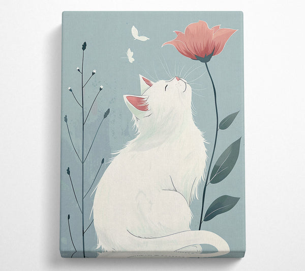 White Cat Flowers