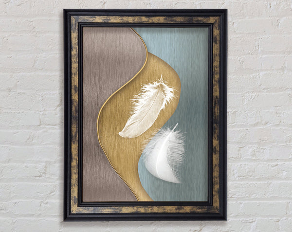 Walnut Feathers