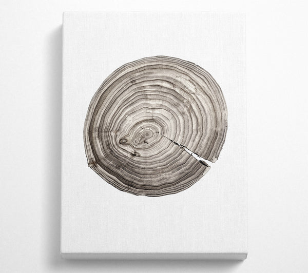 Wood Effect Circle