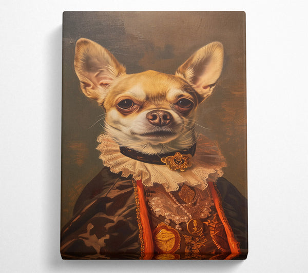 The Royal Chihuahua