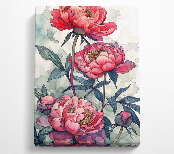 Blushing Peonies