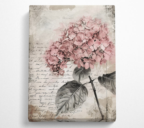 Vintage Hydrangea