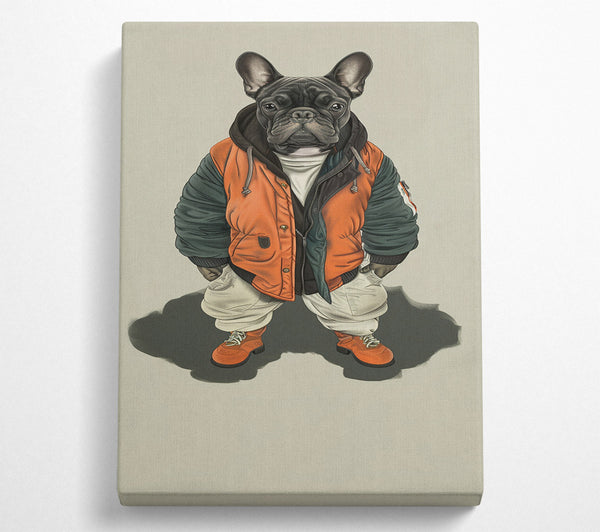 Frenchie In A Bomber Jacket