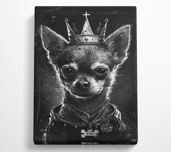 King Of The Chihuahuas