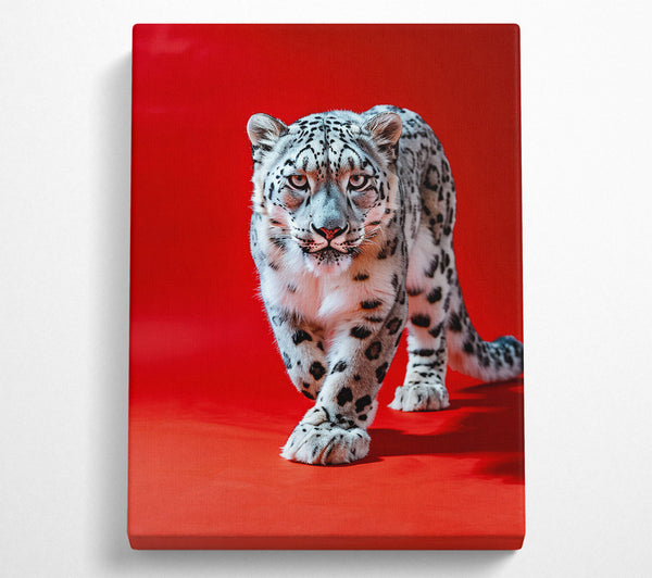 The Red Snow Leopard