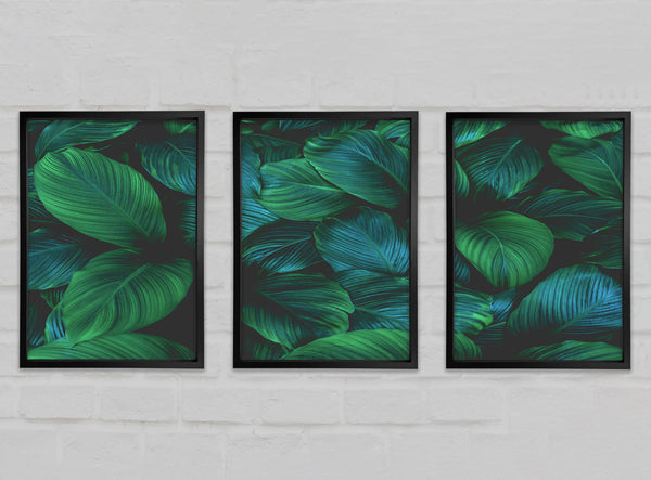 Jungle Leaves