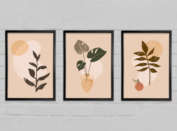 Trio Of Bohemian Plants