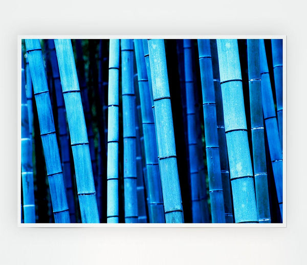 Bamboo Blues Print Poster Wall Art