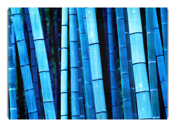 Bamboo Blues