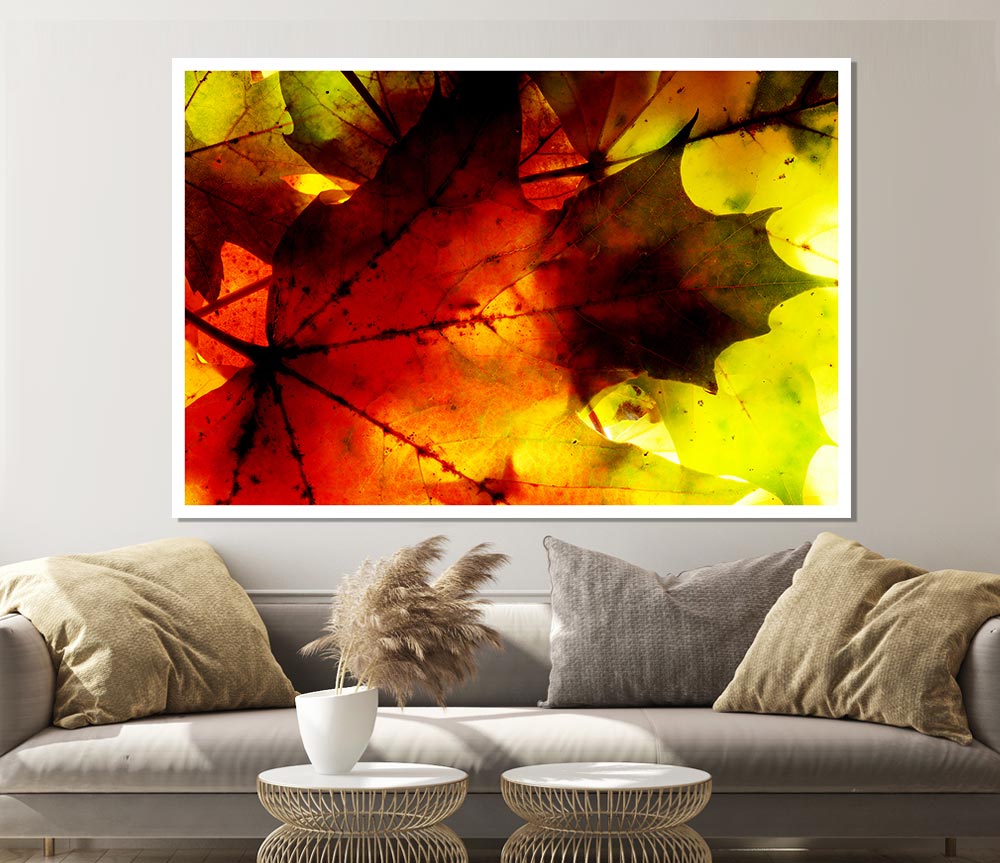 Bursting With Life Print Poster Wall Art