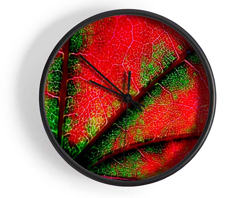 Inside A Poppy Clock - Wallart-Direct UK