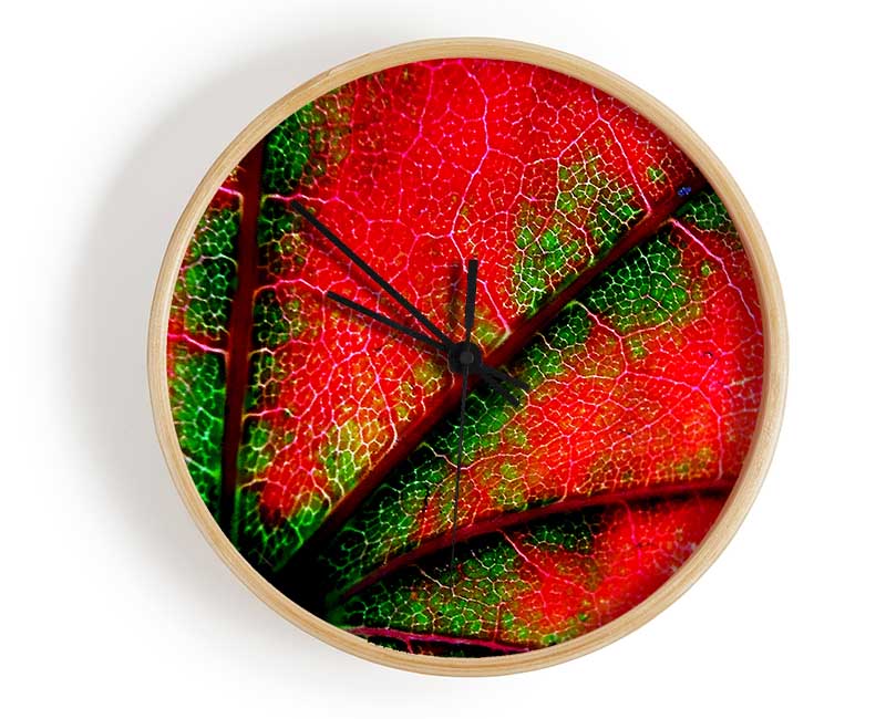 Inside A Poppy Clock - Wallart-Direct UK