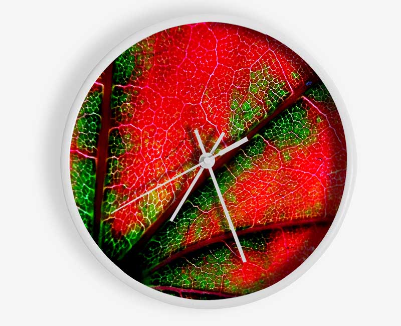 Inside A Poppy Clock - Wallart-Direct UK