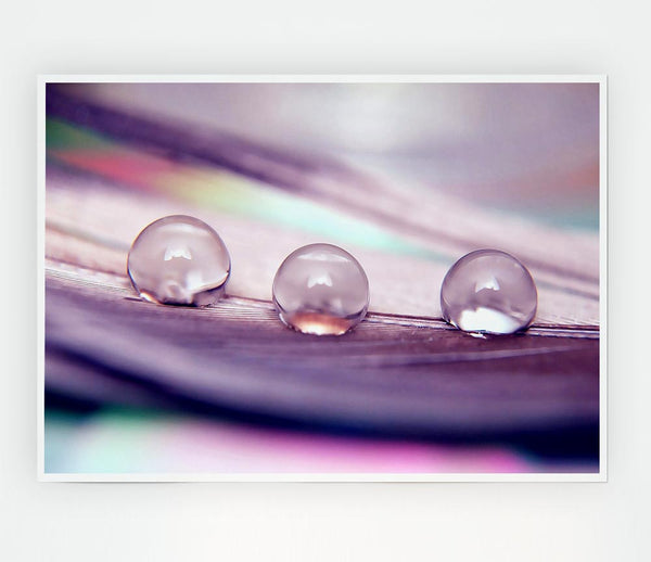 Three Water Drops Print Poster Wall Art