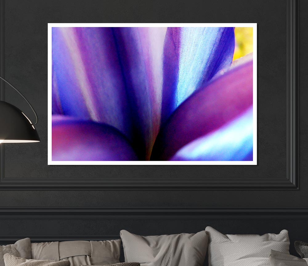 Violet Dream Print Poster Wall Art