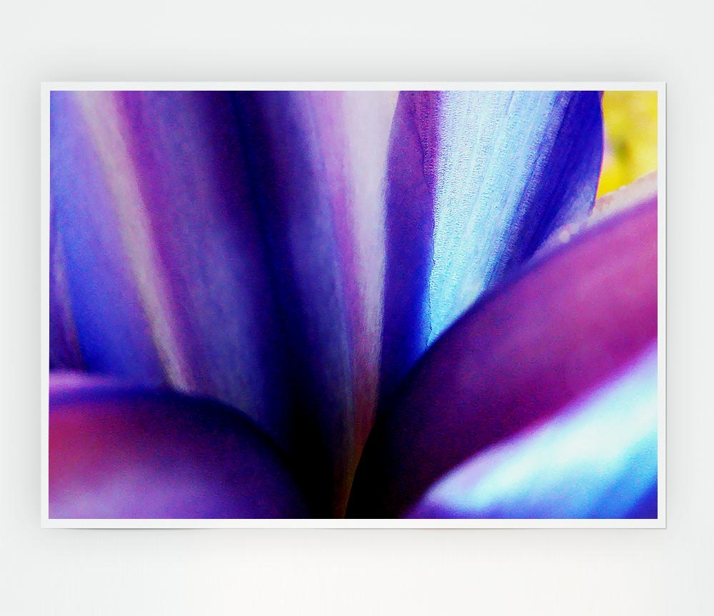 Violet Dream Print Poster Wall Art