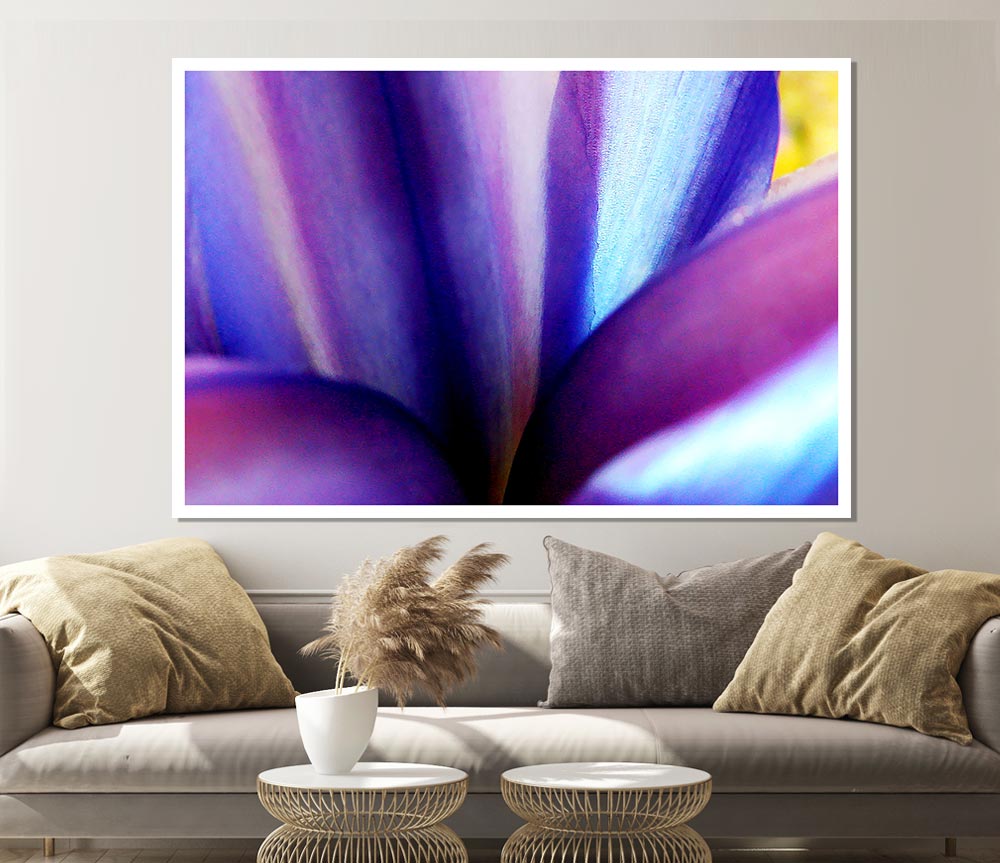 Violet Dream Print Poster Wall Art