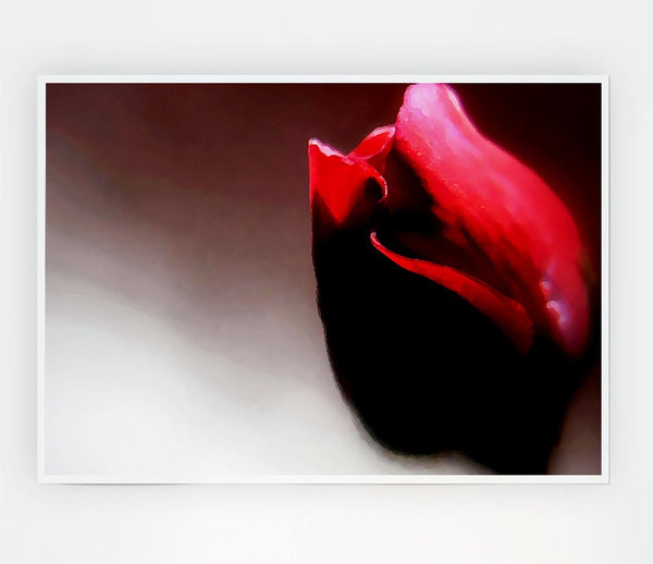 Visions Of A Rose Print Poster Wall Art