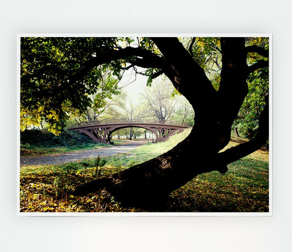 Central Park Bridge New York City Print Poster Wall Art