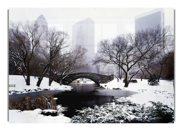 Central Park im Winter