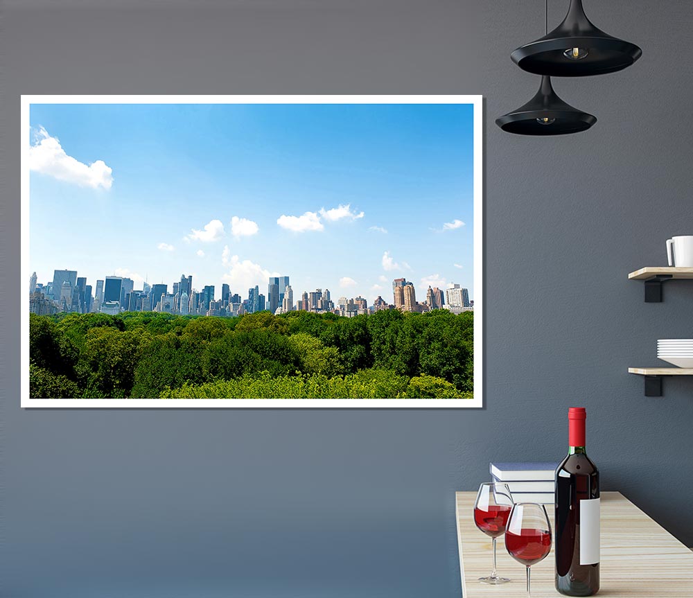 Central Park New York City Print Poster Wall Art