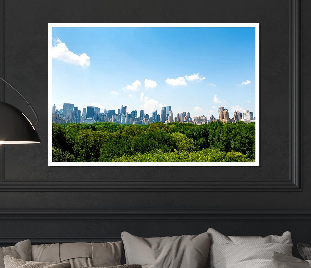 Central Park New York City Print Poster Wall Art