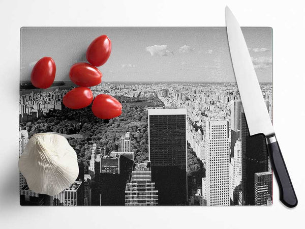 Central Park New York B n W Glass Chopping Board