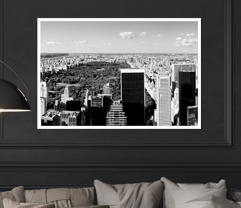 Central Park New York B N W Print Poster Wall Art