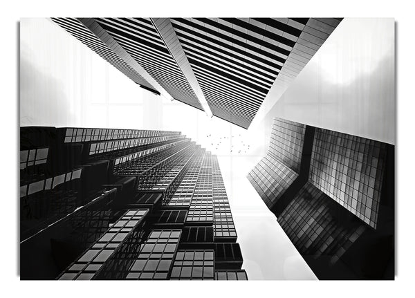 Skyscrapers In Black And White