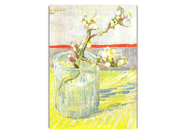 Almond Blossom Branch By Van Gogh