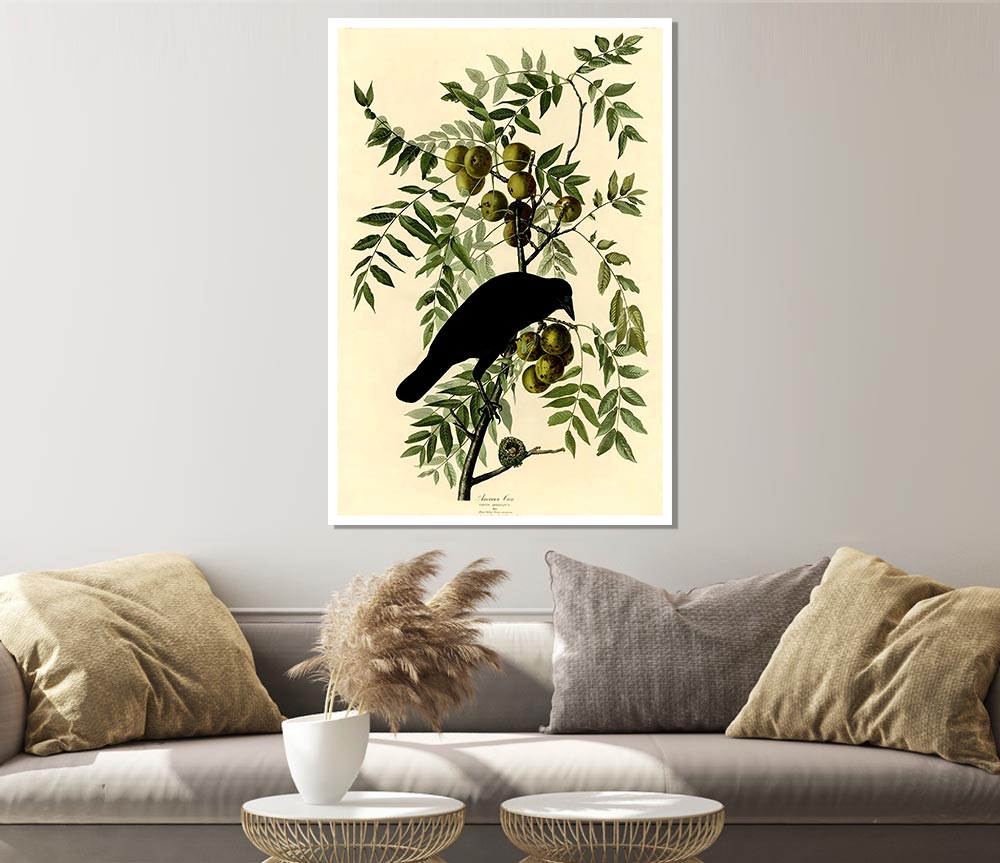 Audubon American Crow Plate 156 Print Poster Wall Art