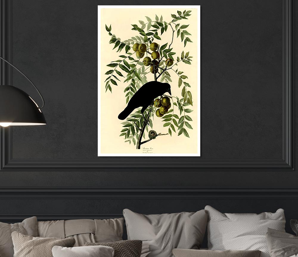 Audubon American Crow Plate 156 Print Poster Wall Art