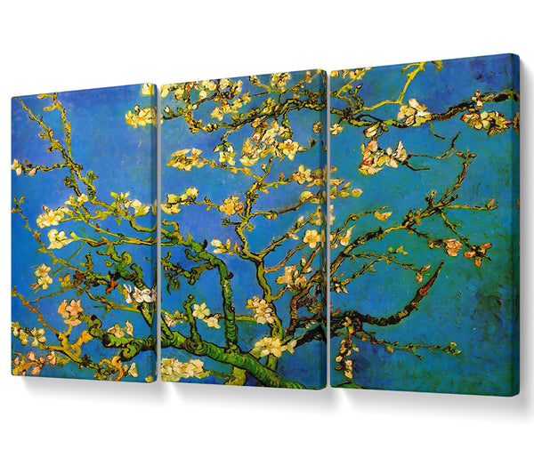 Van Gogh Blossoming Almond Tree