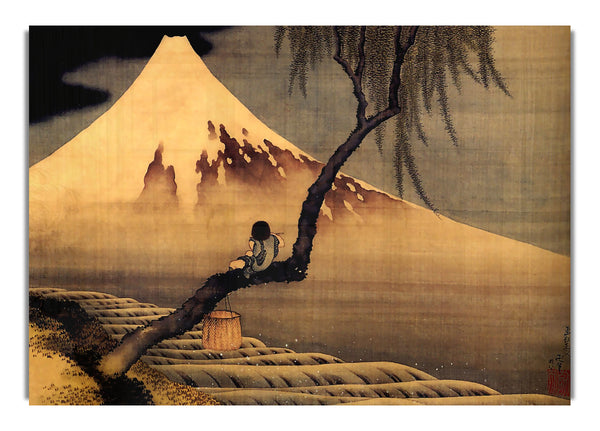 Boy In Front Of Fujiama By Hokusai